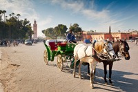 Paseo en calesa por Marrakech